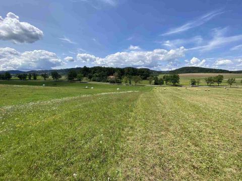 Prodej pole, Lhenice - Hrbov, 55481 m2