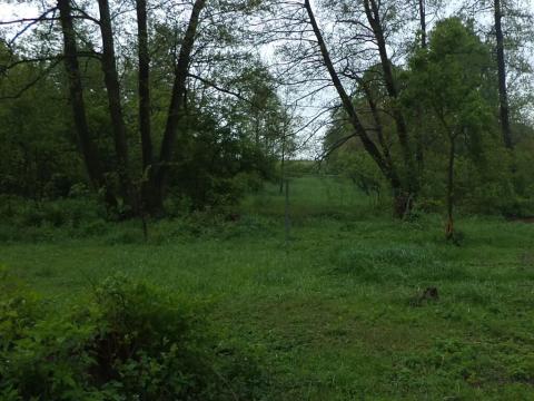 Dražba louky, Vlčice, 1387 m2