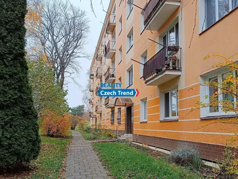 Pronájem bytu 1+1, Olomouc, Dělnická, 37 m2