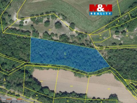 Prodej lesa, Lipno - Lipenec, 6203 m2