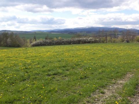 Prodej pozemku, Staré Město - Nová Véska, 10063 m2