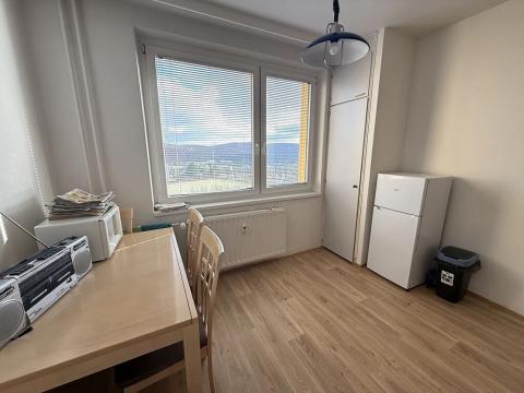 Pronájem bytu 1+1, Brno, Fleischnerova, 45 m2