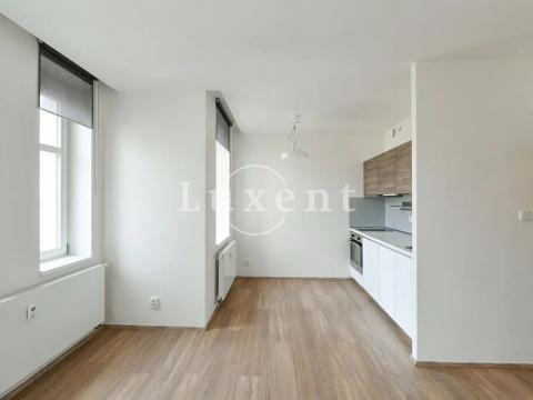 Pronájem bytu 1+kk, Praha - Vinohrady, Lucemburská, 30 m2