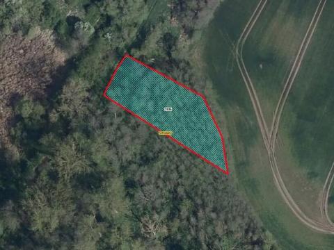 Prodej lesa, Smidary, 1435 m2