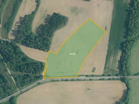 Prodej pole, Velký Bor, 45700 m2