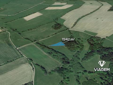 Prodej pole, Roprachtice, 1942 m2