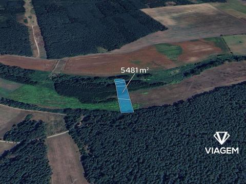 Prodej podílu pole, Ratíškovice, 1370 m2