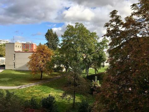 Pronájem bytu 1+1, Praha - Lhotka, Jílovská, 45 m2