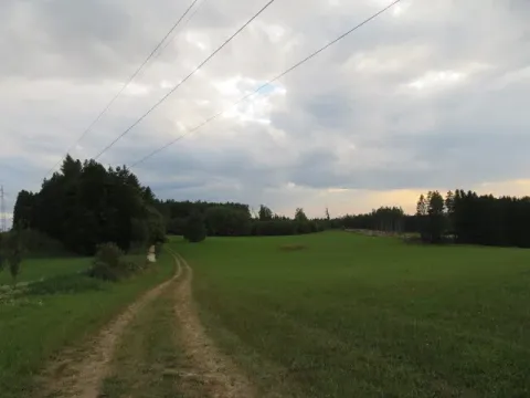 Dražba pole, Počátky, 11945 m2