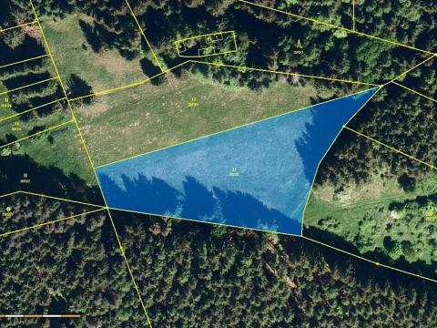 Prodej louky, Halenkov, 5620 m2