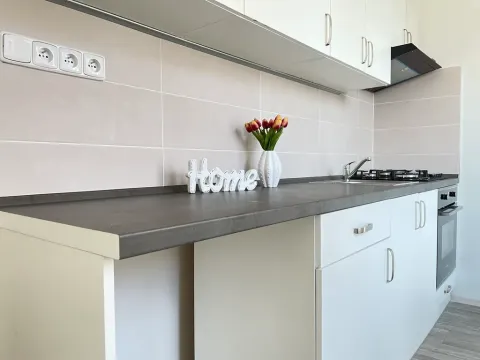 Pronájem bytu 2+1, Litvínov, Ruská, 54 m2