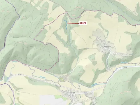 Dražba lesa, Bouzov, 1158 m2