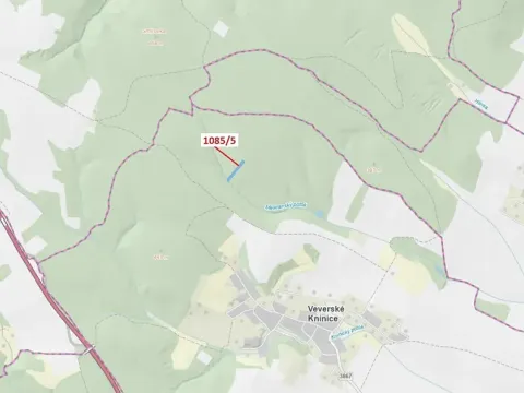 Dražba lesa, Veverské Knínice, 3926 m2