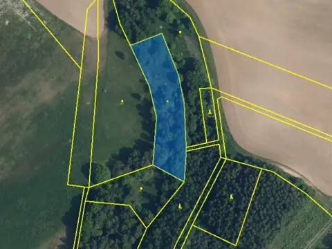 Prodej louky, Sychrov, 4569 m2