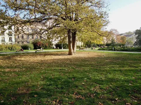 Pronájem bytu 3+1, Brno, Údolní, 106 m2