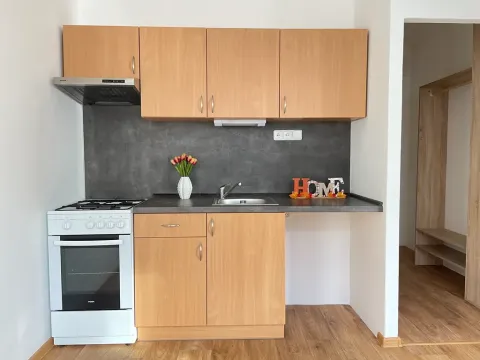 Pronájem bytu 1+1, Litvínov, Čapkova, 37 m2