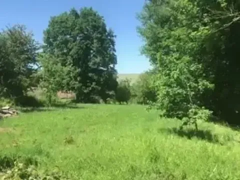 Dražba pozemku pro bydlení, Bělá nad Radbuzou, 704 m2