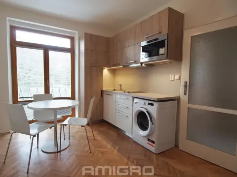 Pronájem bytu 1+kk, Brno, Obilní trh, 20 m2
