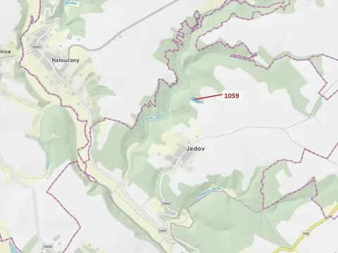 Dražba lesa, Náměšť nad Oslavou, 3646 m2