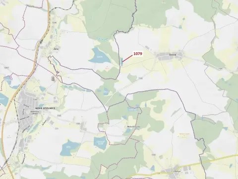 Dražba lesa, Žirovnice, 5041 m2