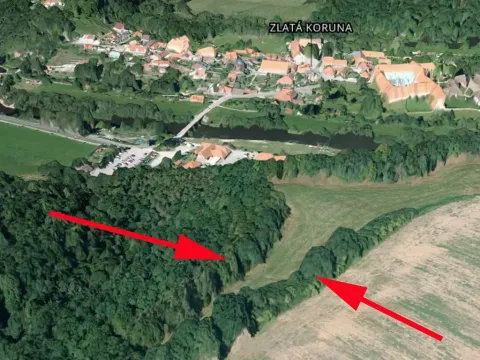 Prodej lesa, Zlatá Koruna, 4920 m2