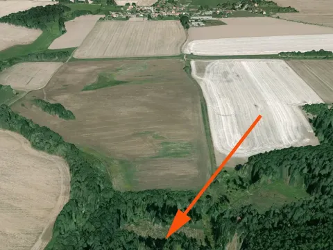 Prodej lesa, Jistebnice, 2234 m2