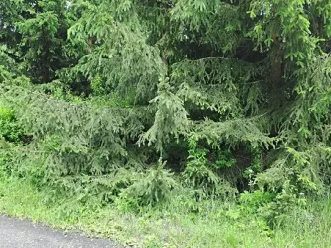 Prodej pozemku, Nejdek, 104 m2