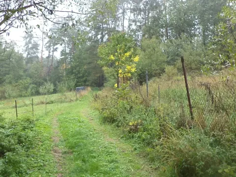 Dražba louky, Biskupice-Pulkov, 986 m2