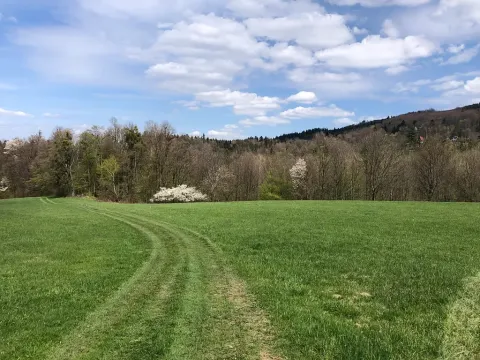 Prodej louky, Frýdlant nad Ostravicí, 44238 m2