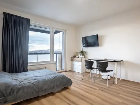 Pronájem bytu 1+kk, Praha - Vysočany, Kolbenova, 30 m2