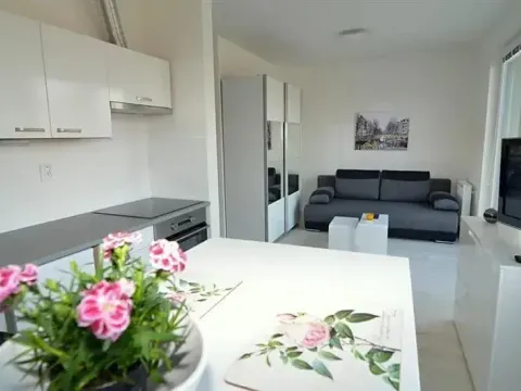 Pronájem bytu 1+kk, Vestec, U Hrubých, 35 m2