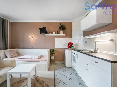 Prodej bytu 1+kk, Plzeň, náměstí Generála Píky, 23 m2