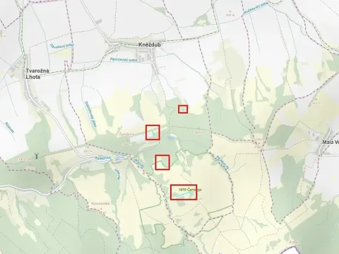 Prodej louky, Kněždub, 6886 m2