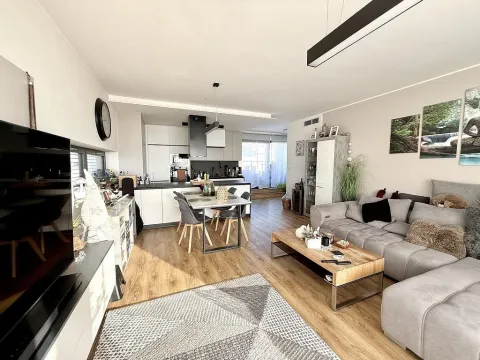 Pronájem bytu 3+kk, Brno - Sadová, Kumpoštova, 152 m2