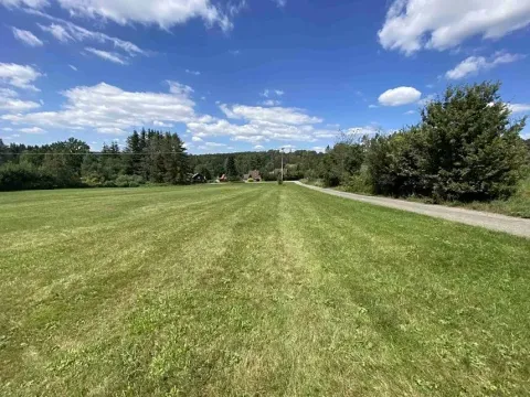 Dražba pole, Boňkov, 3466 m2