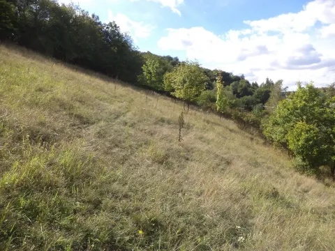 Prodej pole, Řehlovice - Stadice, 1711 m2