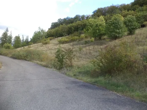 Prodej pole, Řehlovice - Stadice, 3418 m2