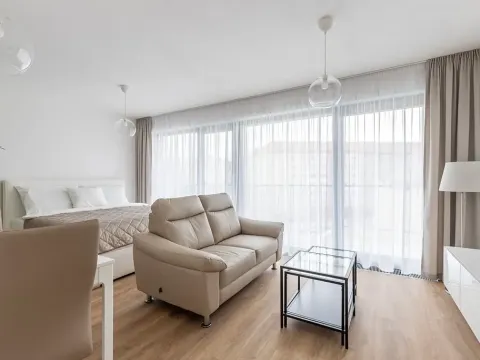 Pronájem bytu 1+kk, Brno, Lidická, 41 m2