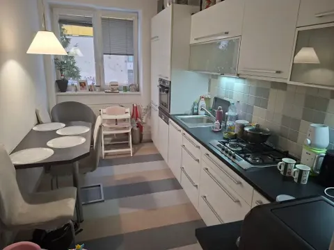 Prodej bytu 2+1, Brno, Purkyňova, 60 m2