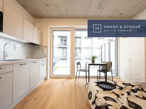 Pronájem bytu 1+kk, Brno, Koliště, 22 m2