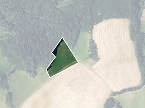 Prodej louky, Kunštát, 11758 m2