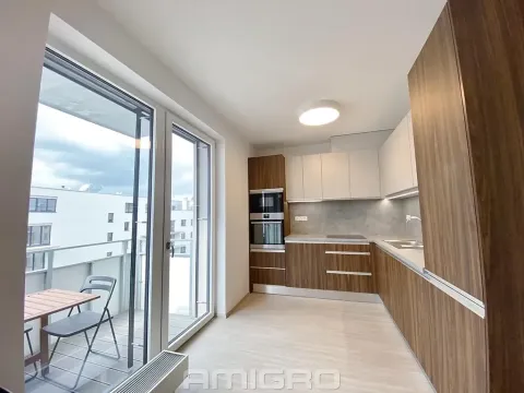 Pronájem bytu 1+kk, Brno, Reissigova, 41 m2