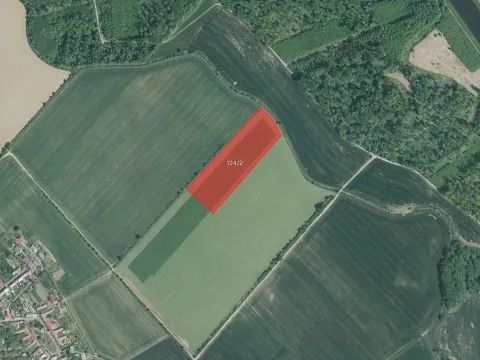 Prodej pole, Střížovice, 37555 m2