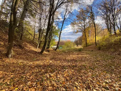 Prodej lesa, Jílové u Prahy, 14982 m2