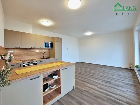 Pronájem bytu 3+kk, Brno, Rybářská, 72 m2