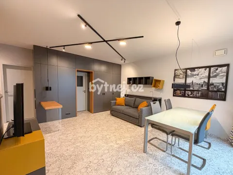 Pronájem bytu 1+kk, Brno - Trnitá, Křenová, 2641 m2
