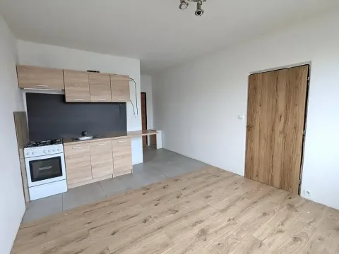 Pronájem bytu 1+1, Chomutov, Písečná, 36 m2