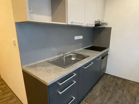 Pronájem bytu 1+1, Děčín, Kamenická, 38 m2