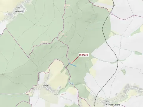 Dražba lesa, Nová Hradečná, 5079 m2