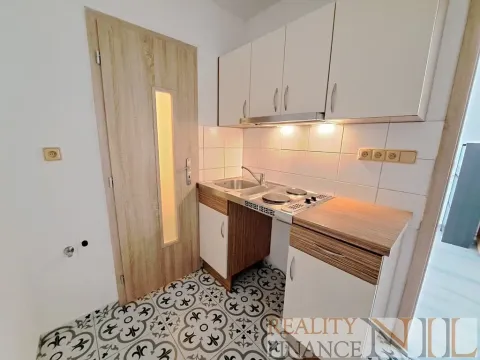 Pronájem bytu 1+kk, Plzeň, U Borského parku, 21 m2